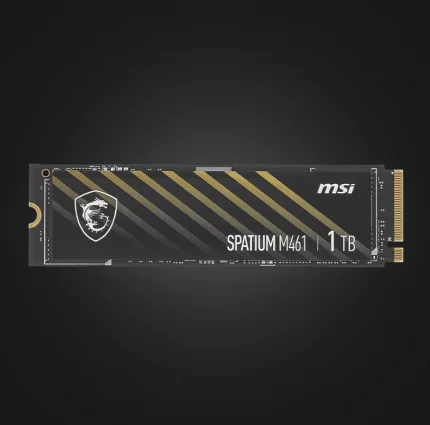 MSI SPATIUM M461 1000GB