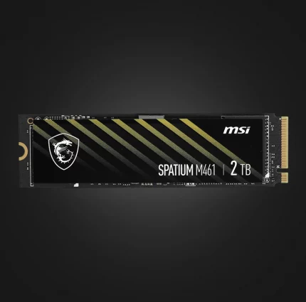 MSI SPATIUM M461 2000GB